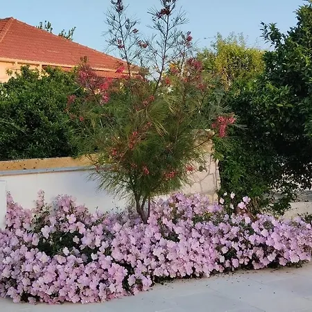 Σπίτι διακοπών Erasmia- House 2 Upper Floor Σβορωνάτα