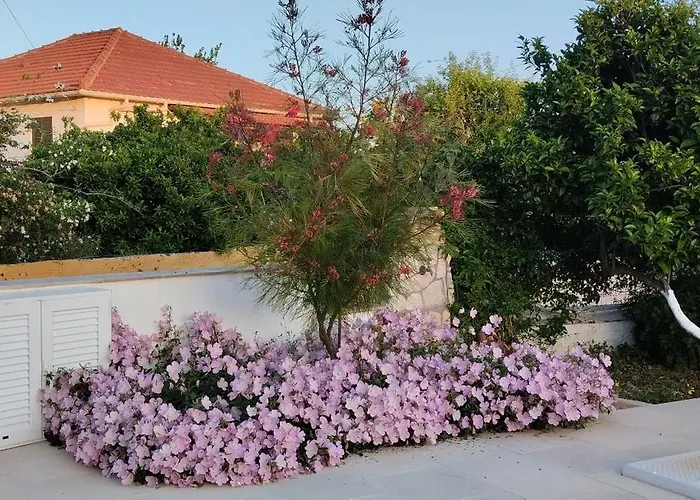 度假居 Erasmia- House 2 Upper Floor 斯沃伦塔